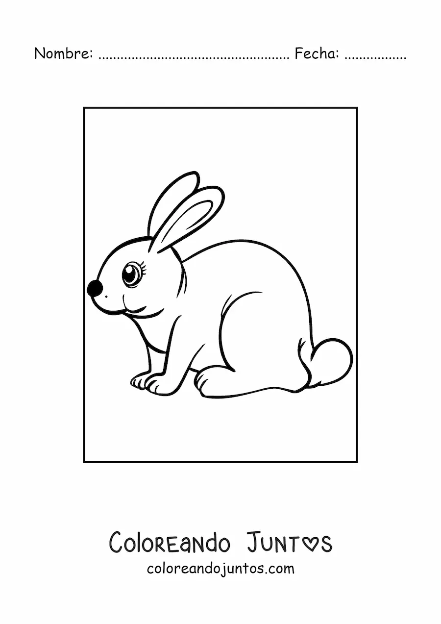 Imagen para colorear de un conejo sentado de perfil