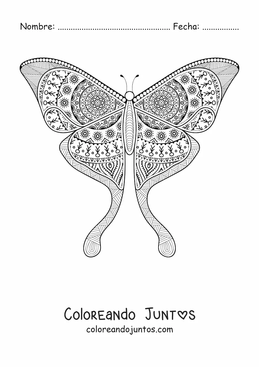 Imagen para colorear de un mandala con forma de mariposa