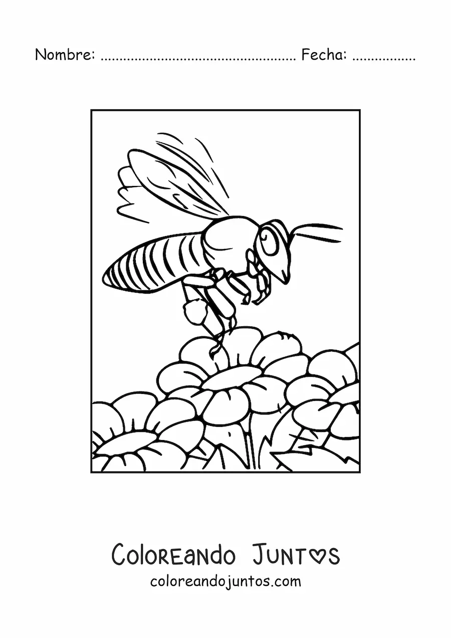 Imagen para colorear de una abeja realista volando sobre flores