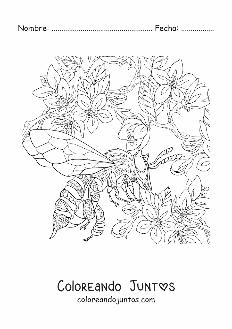 Imagen para colorear de una abeja realista volando cerca de las flores