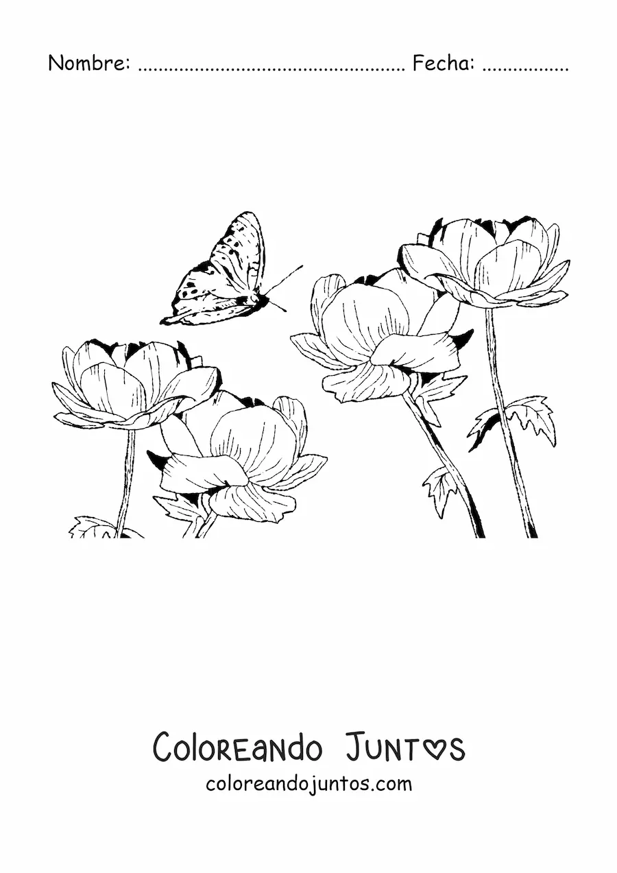 Imagen para colorear de una mariposa volando sobre flores silvestres