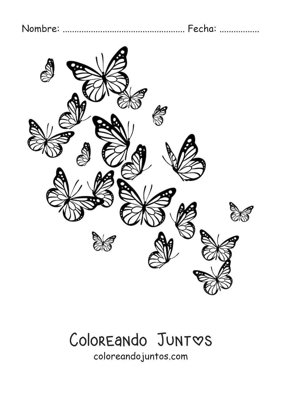 Imagen para colorear de varias mariposas volando