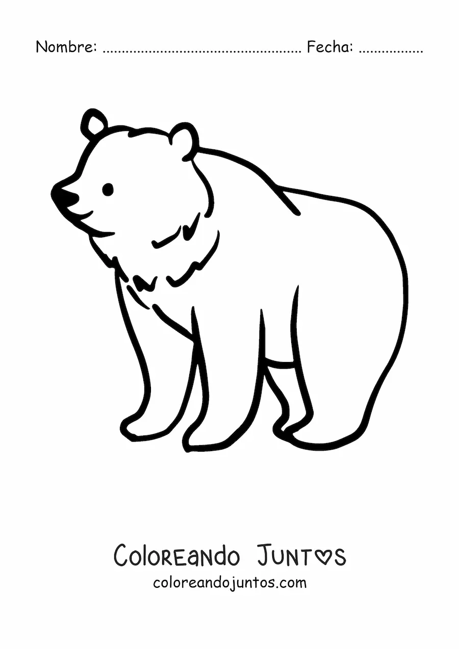 Imagen para colorear de un oso en cuatro patas