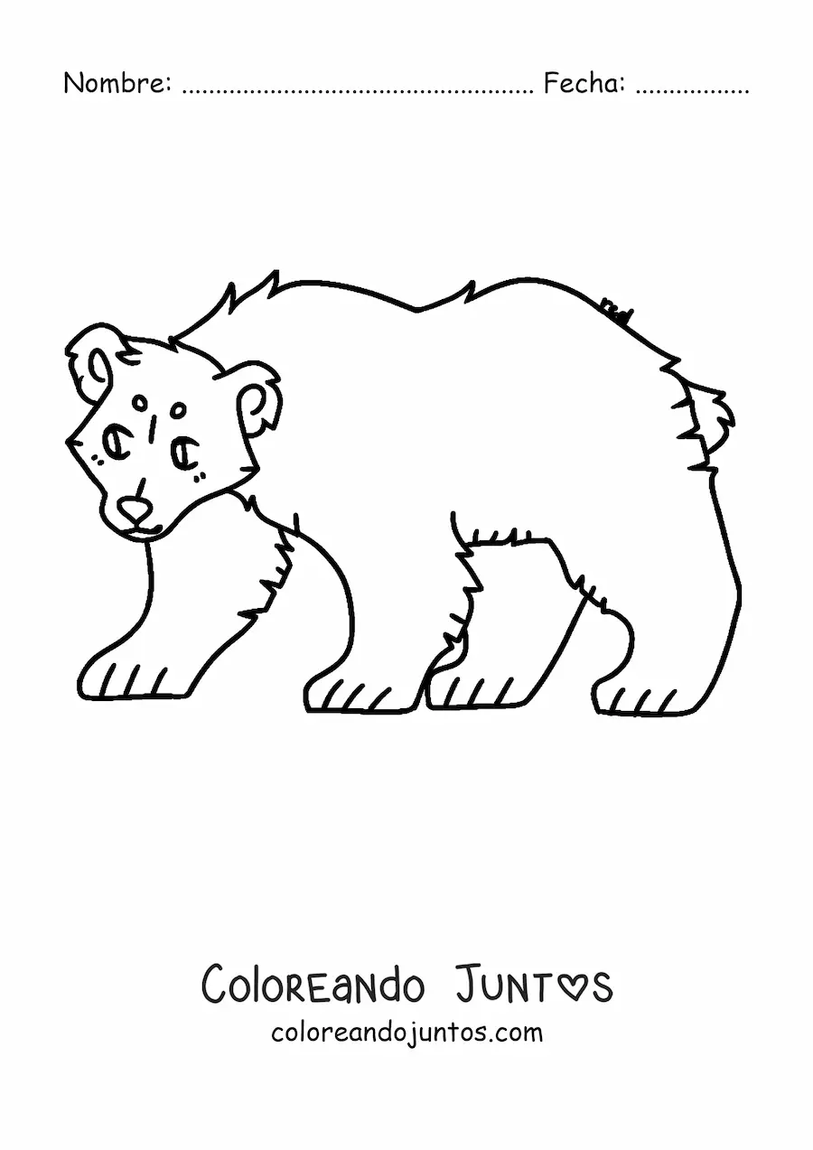 Imagen para colorear de un oso animado