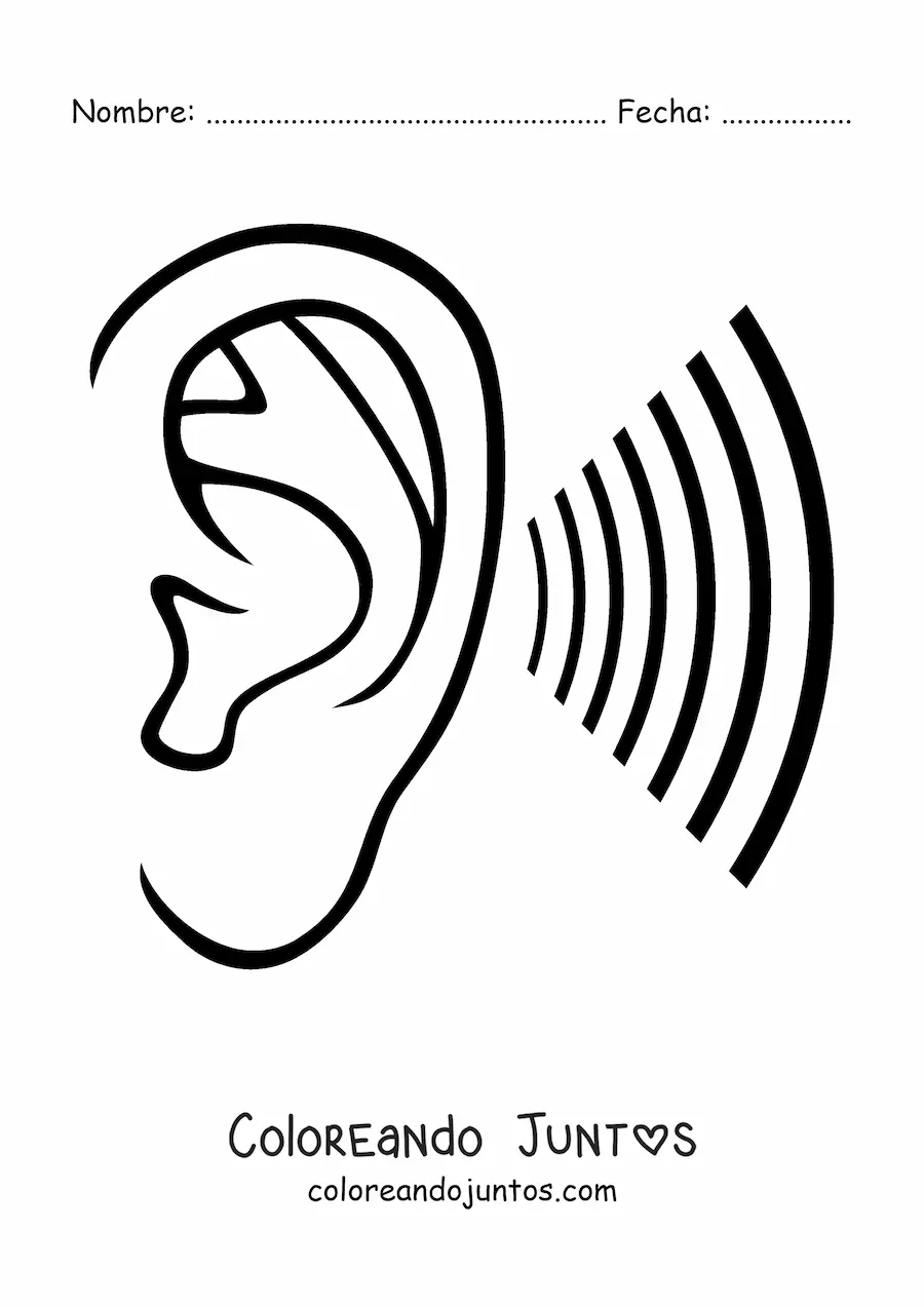 Imagen para colorear de un oído junto a ondas de sonido