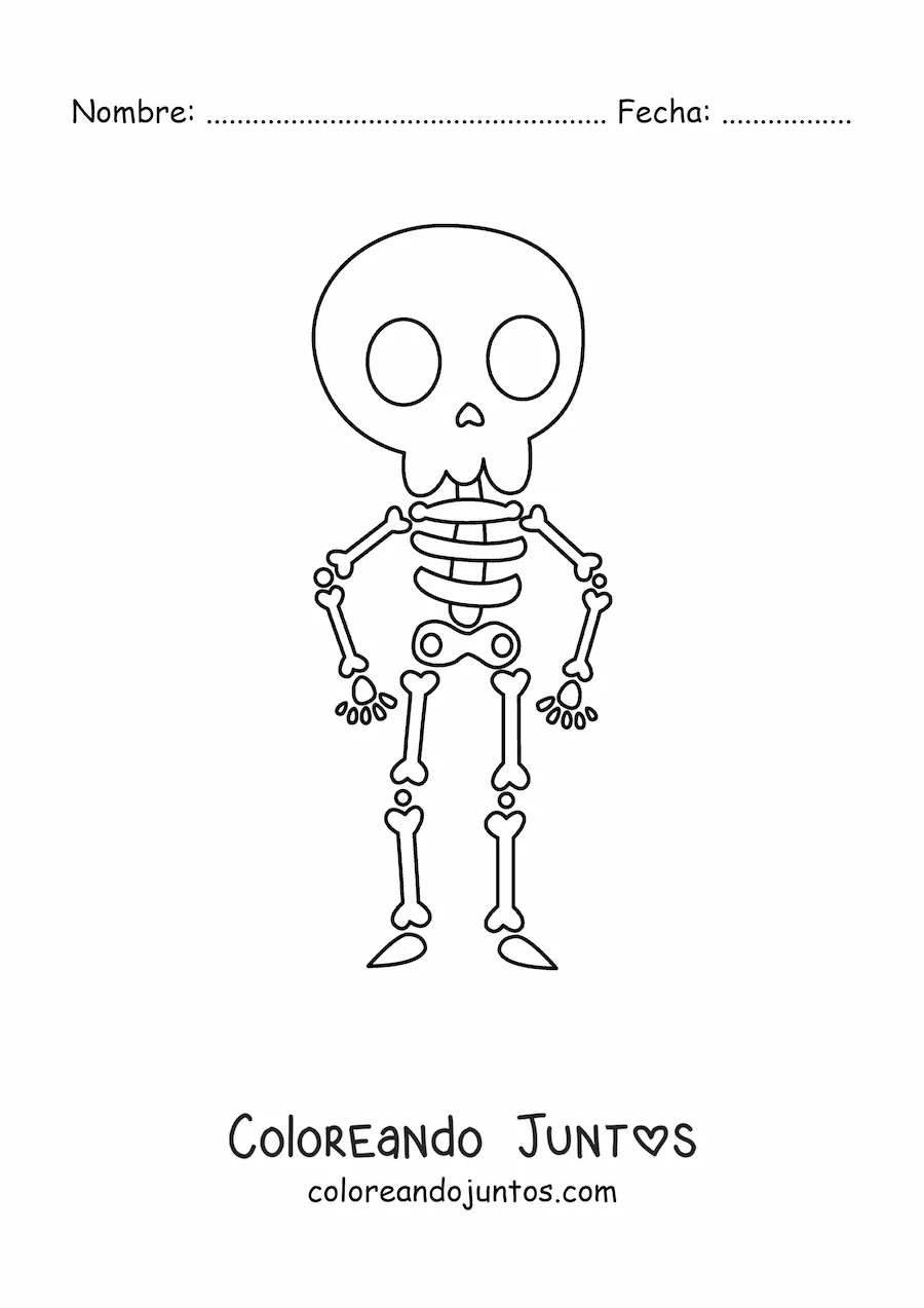 Imagen para colorear de un esqueleto humano kawaii entero
