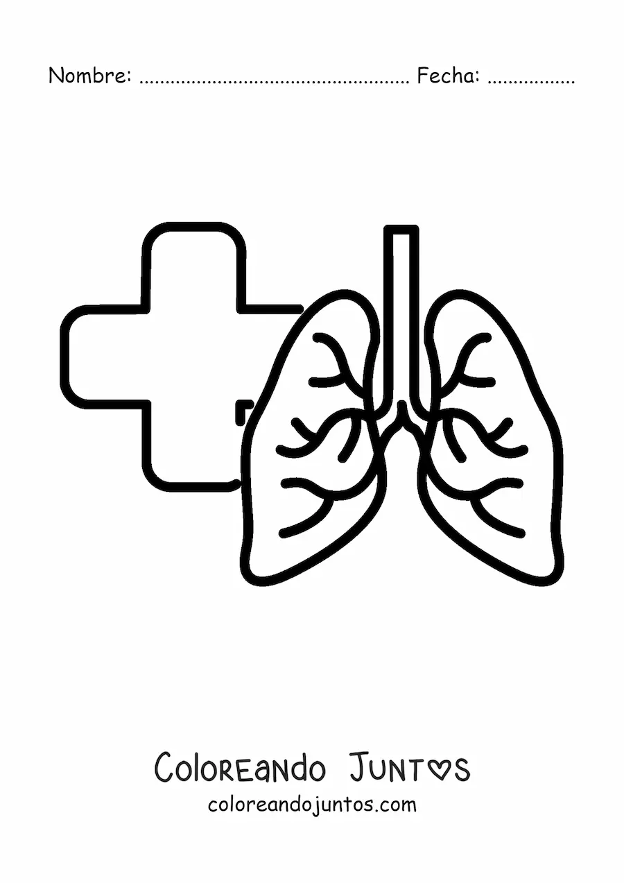 Imagen para colorear de pulmones sanos con una cruz de fondo