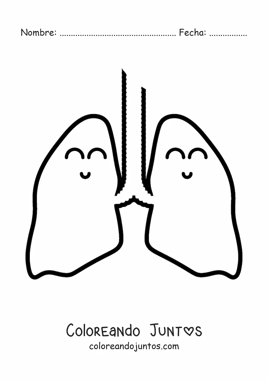 Imagen para colorear de un par de pulmones animados felices