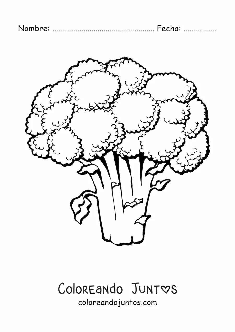 Imagen para colorear de un brócoli