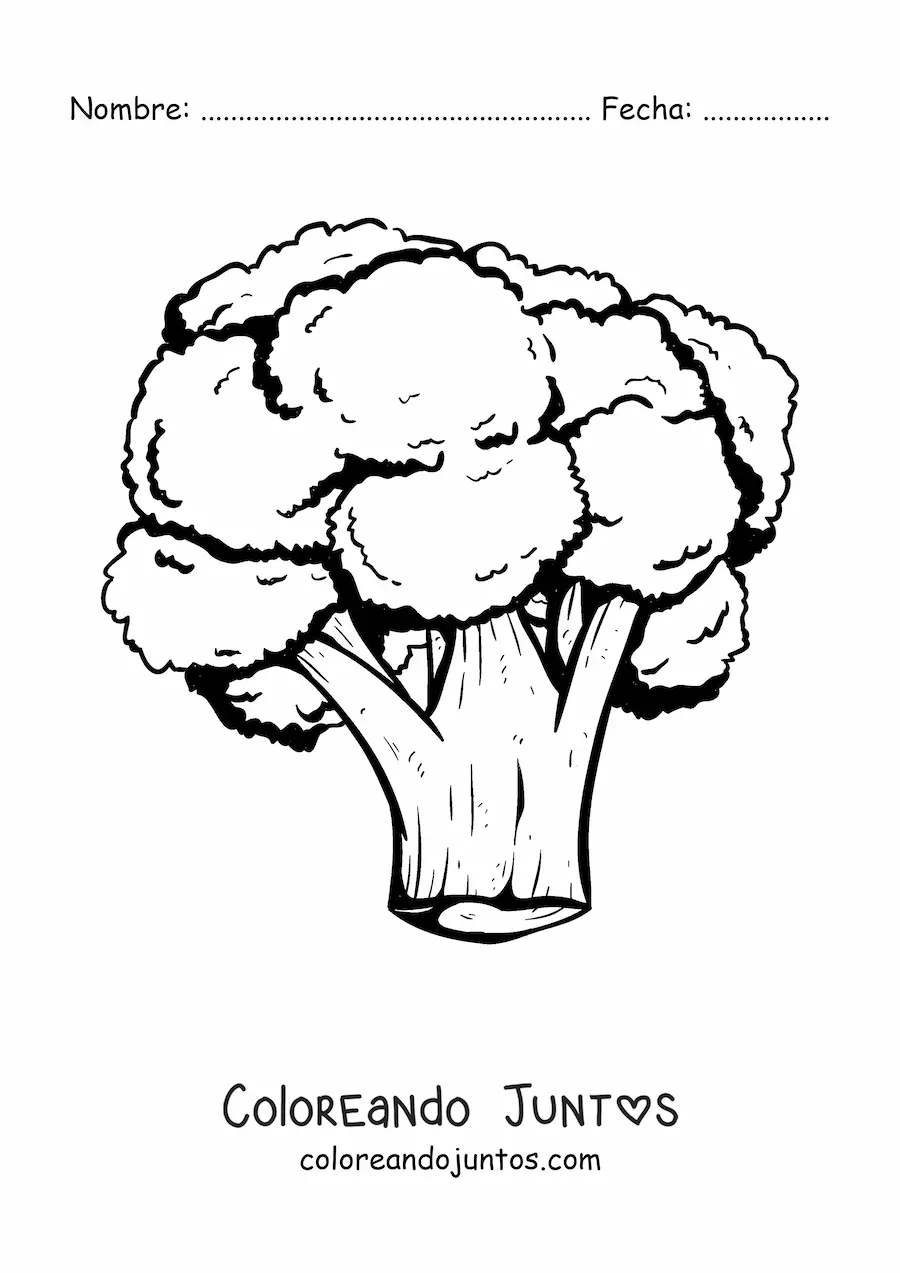 Imagen para colorear de un brócoli realista