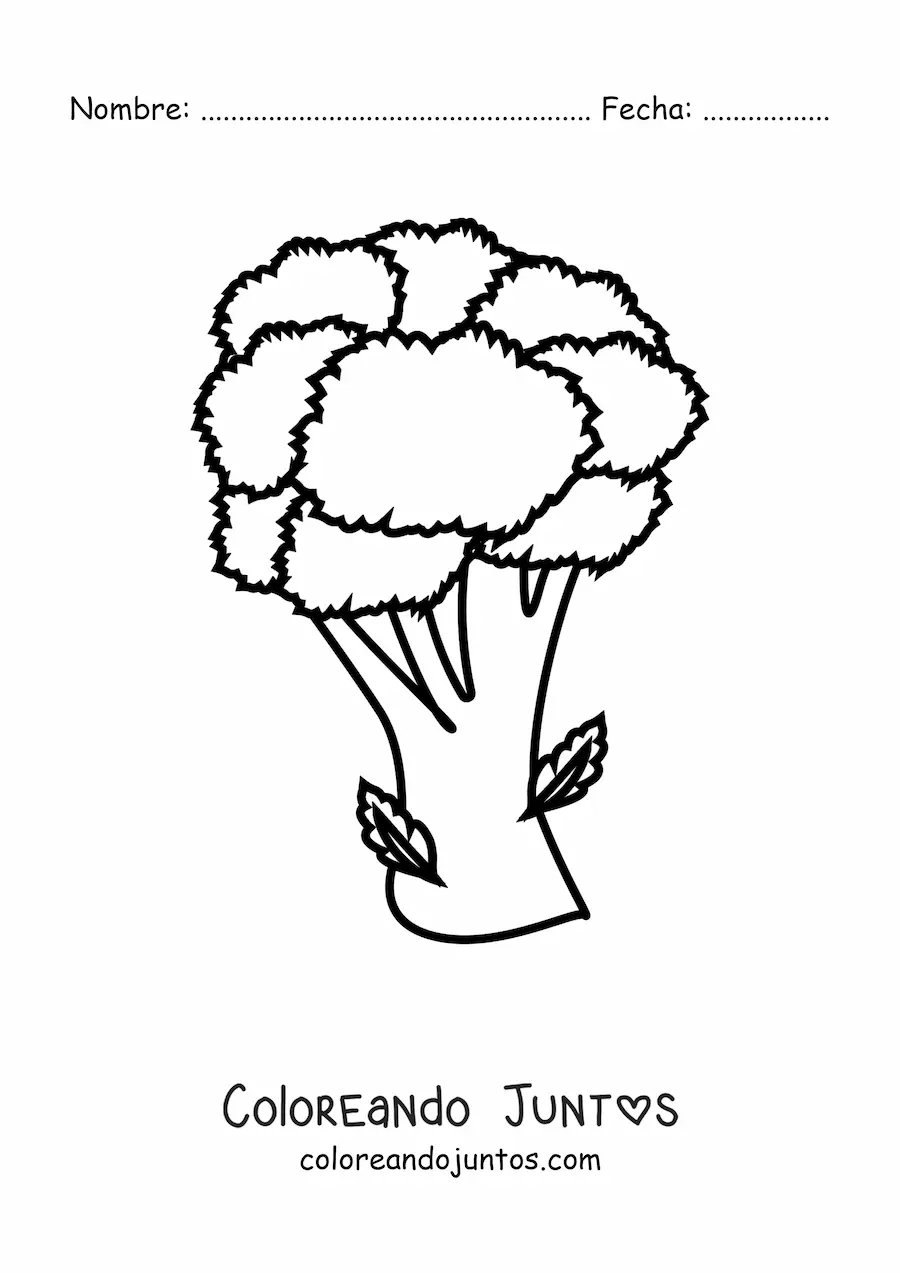 Imagen para colorear de un brócoli con hojas