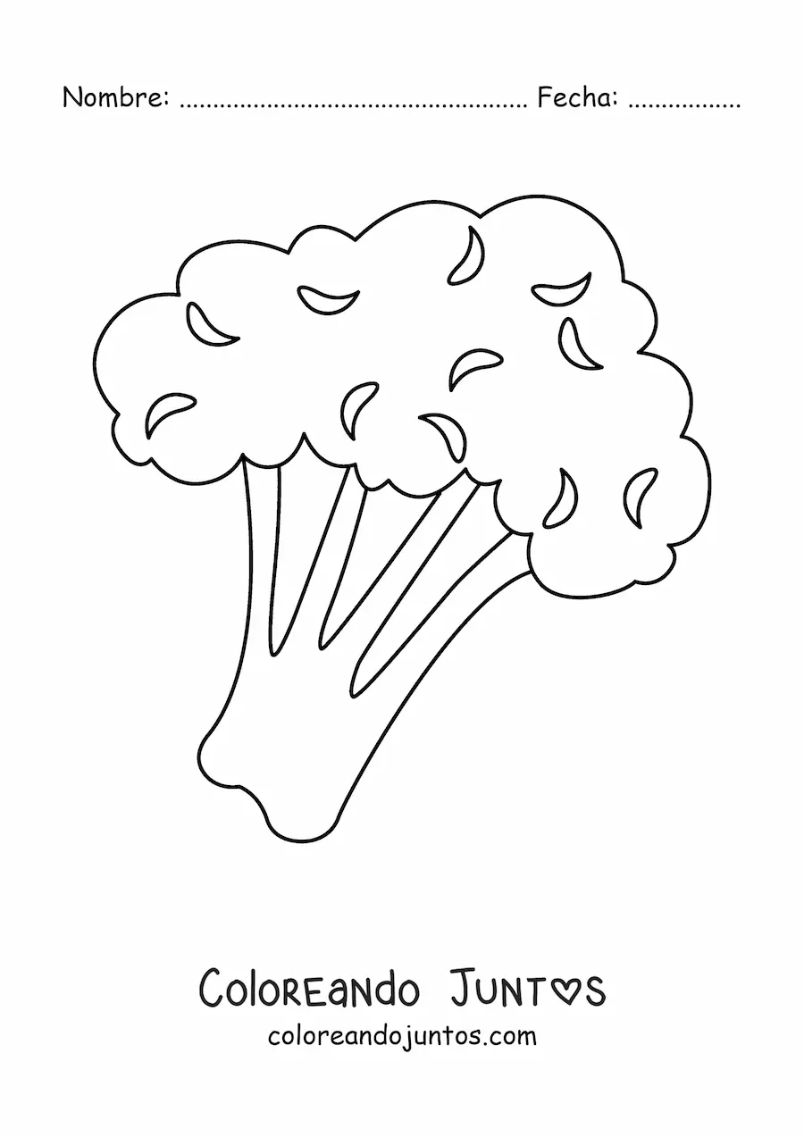 Imagen para colorear de un brócoli sencillo