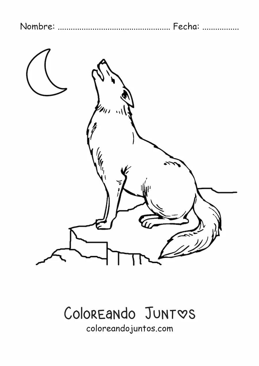 Imagen para colorear de un lobo aullando a la luna sentado sobre una roca