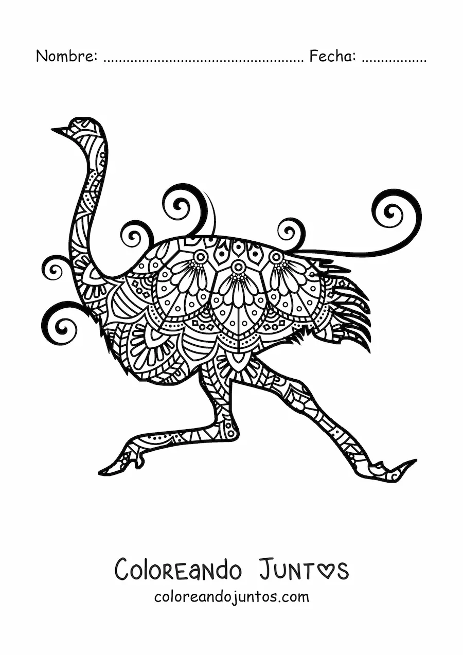 Imagen para colorear de un mandala de avestruz