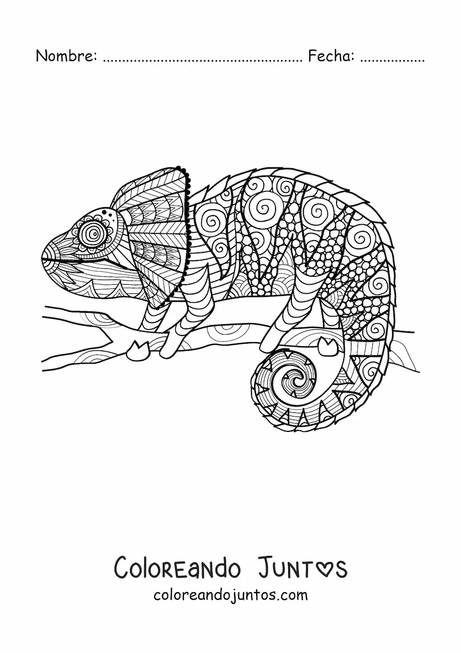 Imagen para colorear de un mandala de camaleón