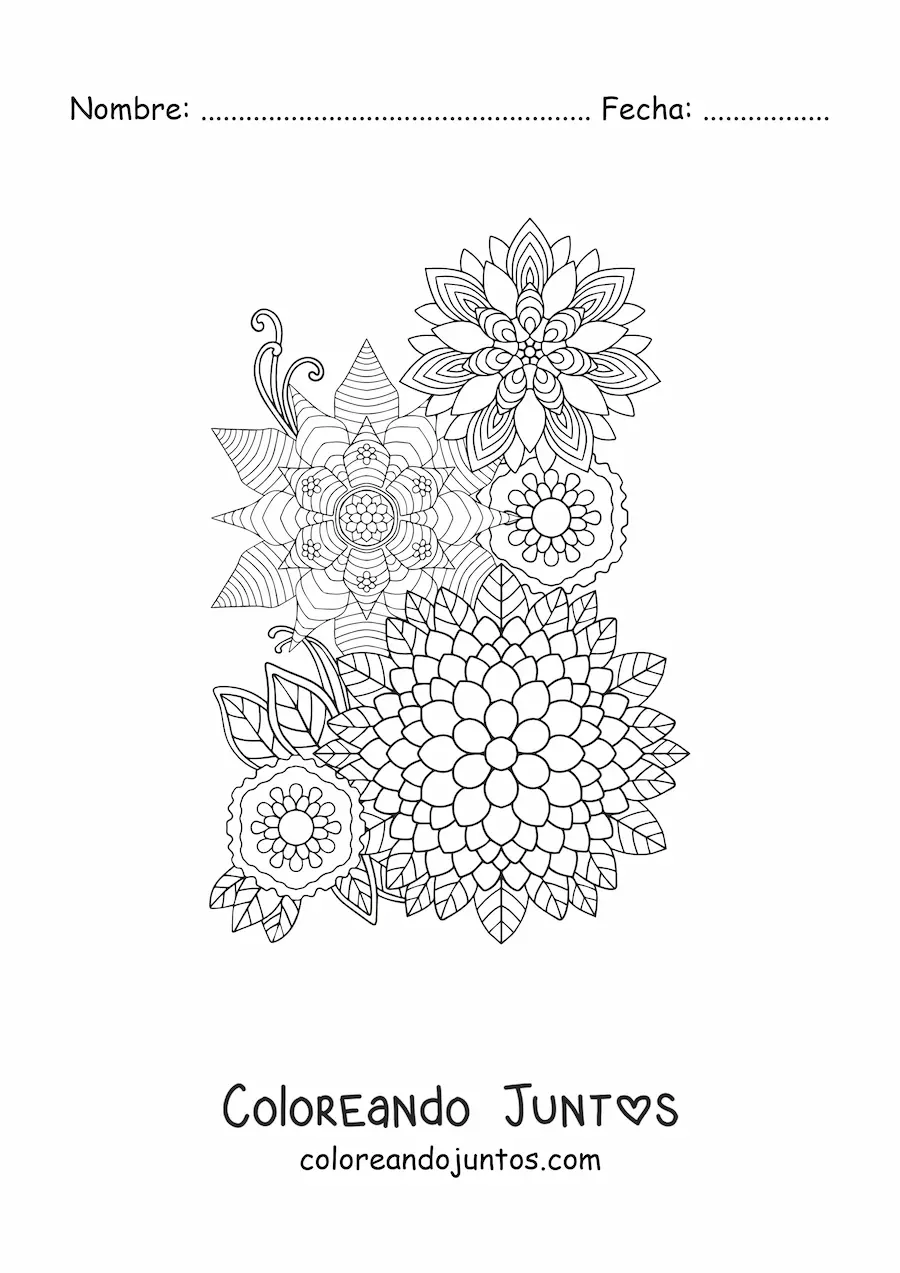 Imagen para colorear de flores mandala