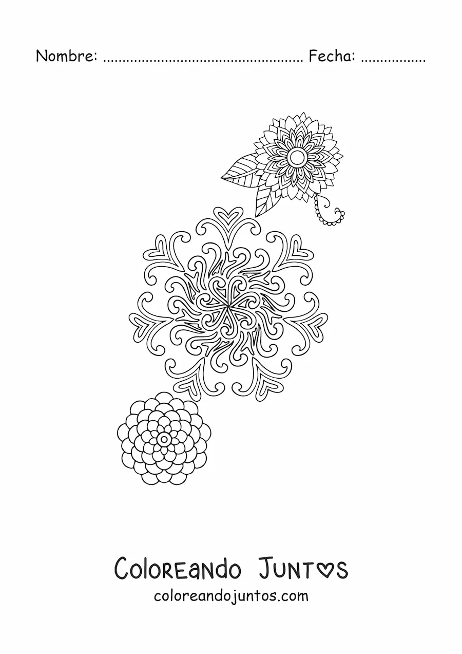Imagen para colorear de flores mandala