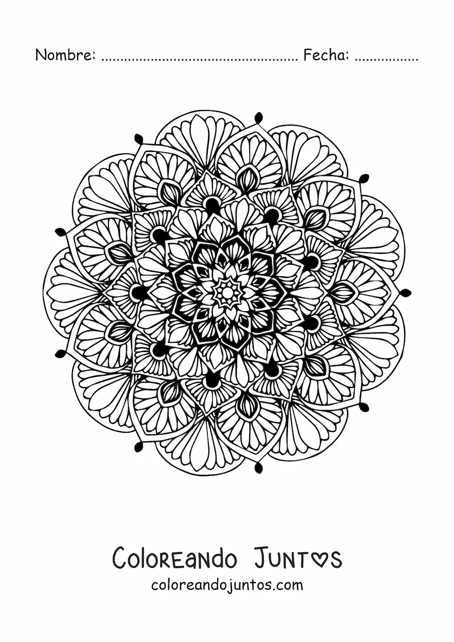 Imagen para colorear de un mandala floral