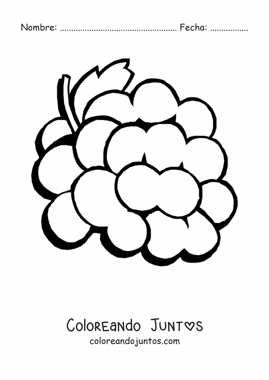 Imagen para colorear de un racimo de uvas
