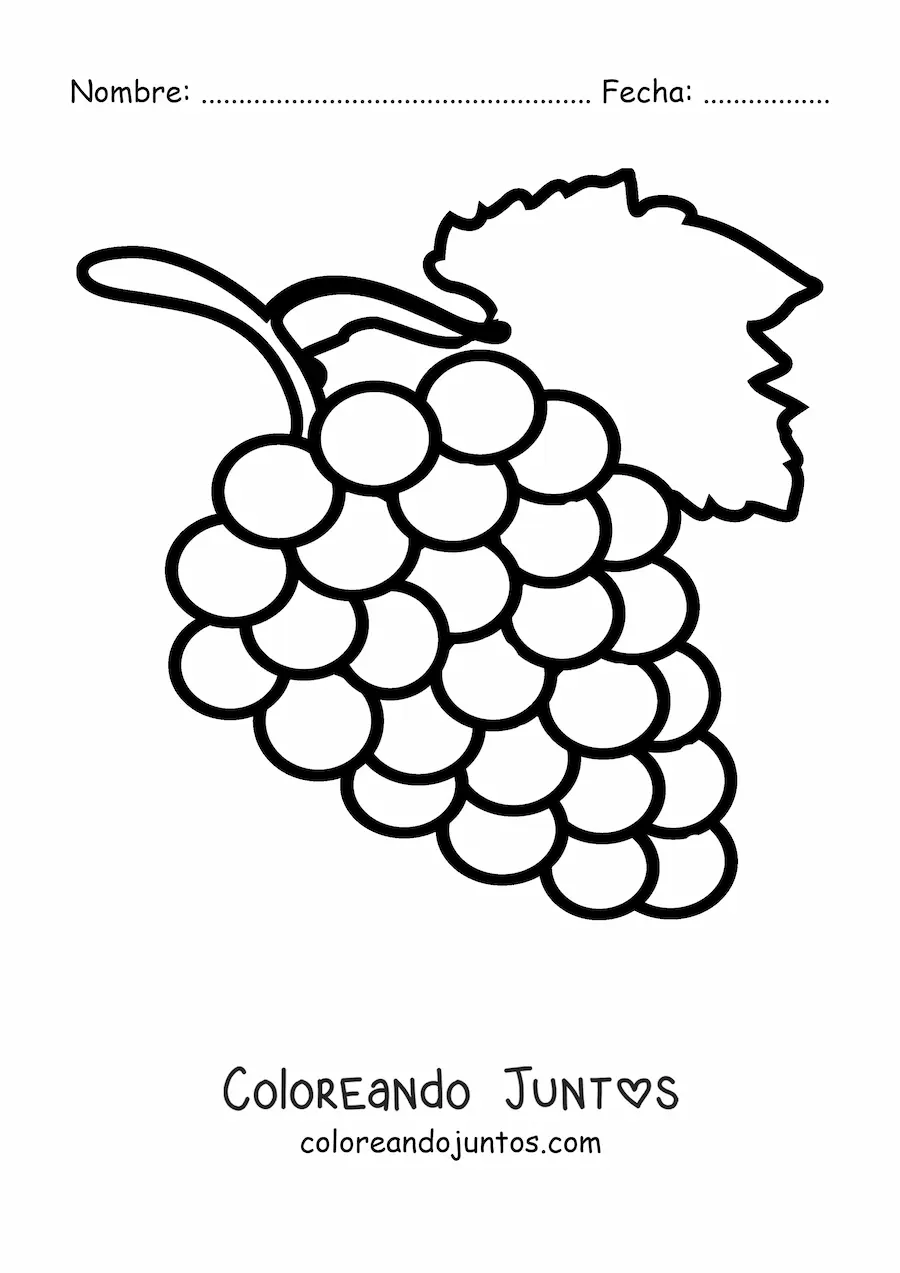 Imagen para colorear de un racimo de uvas con una hoja