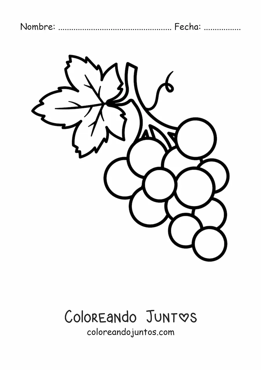 Imagen para colorear de un racimo de uvas pequeño con una hoja grande