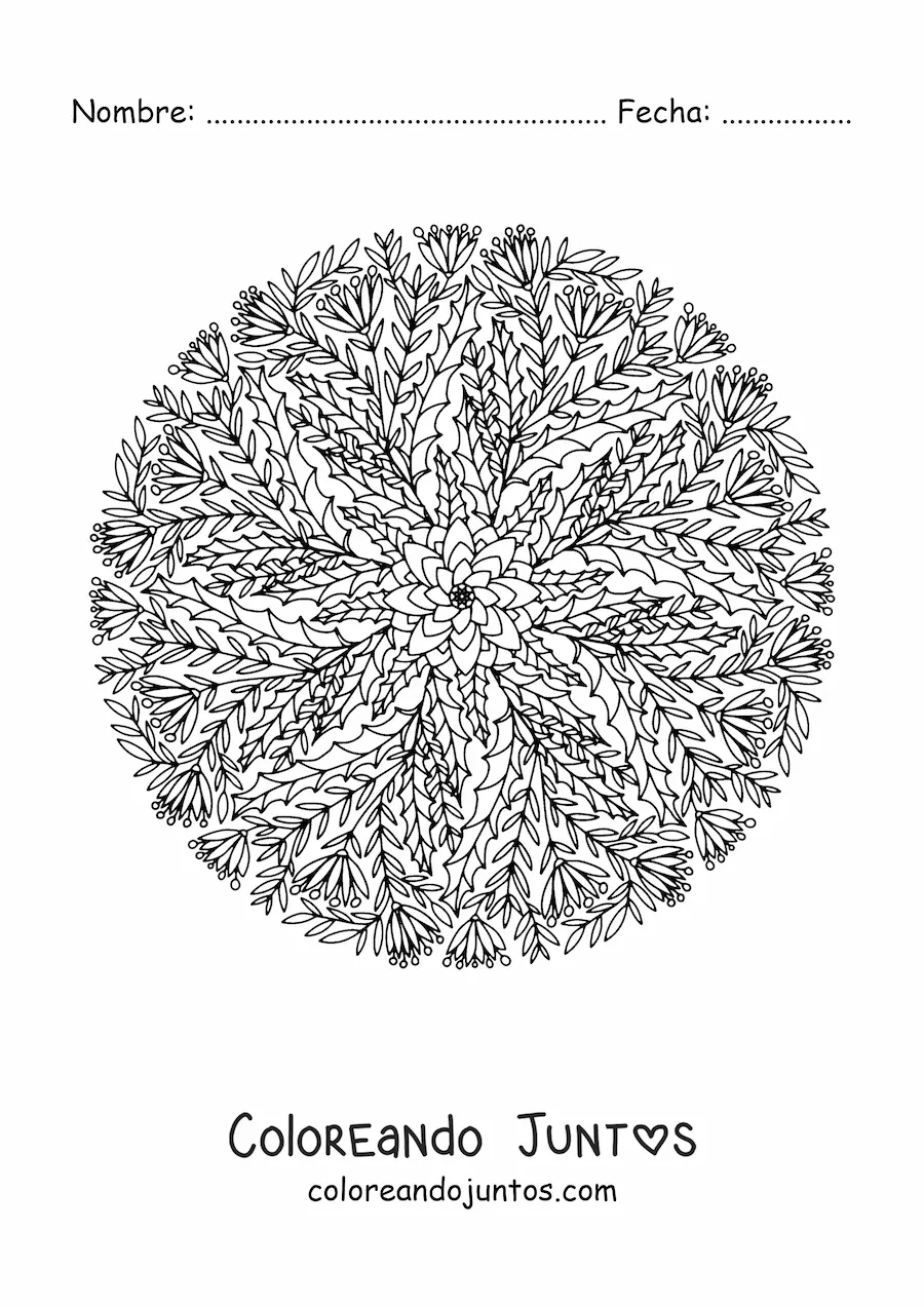 Imagen para colorear de mandala de Navidad para adultos