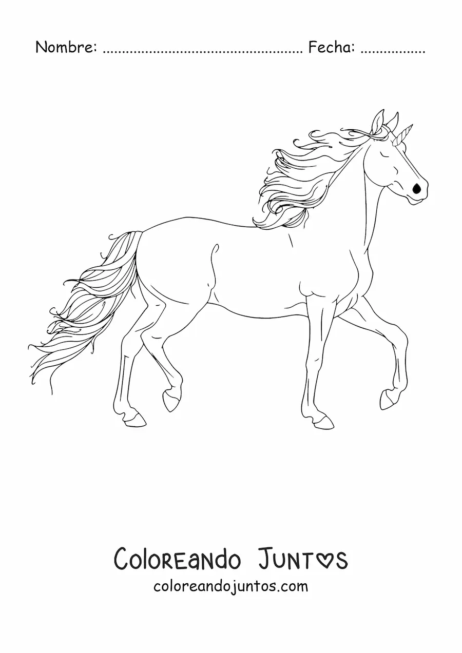 Imagen para colorear de un unicornio galopando