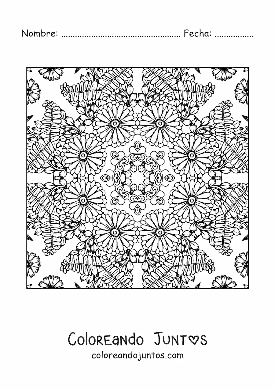 Imagen para colorear de mandala cuadrada con flores