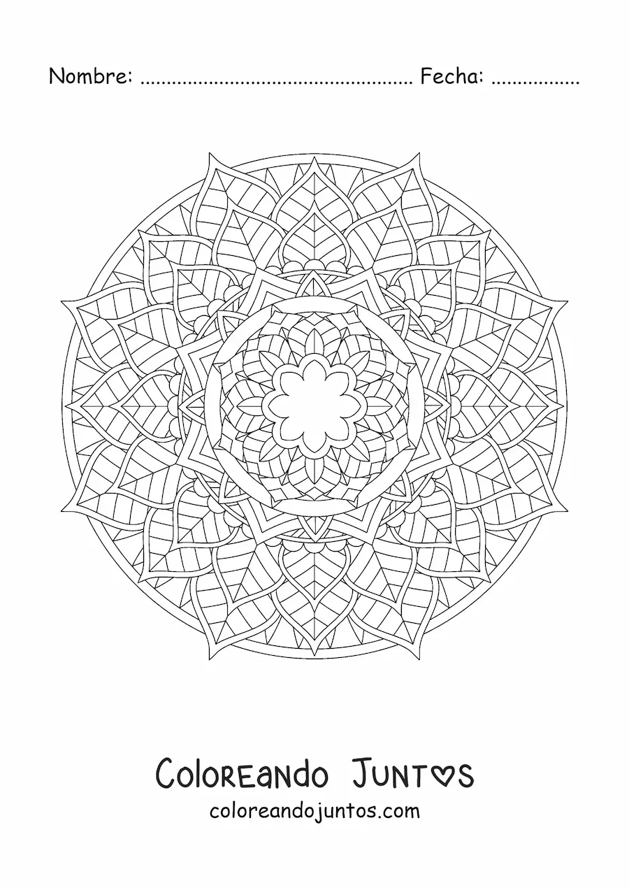 Imagen para colorear de mandala circular con flores