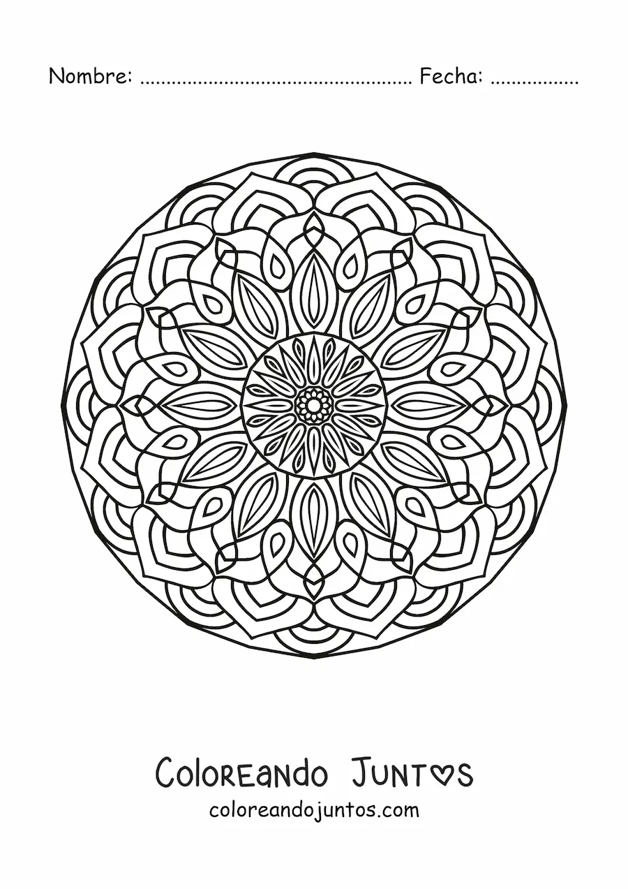 Imagen para colorear de mandala circular para adultos
