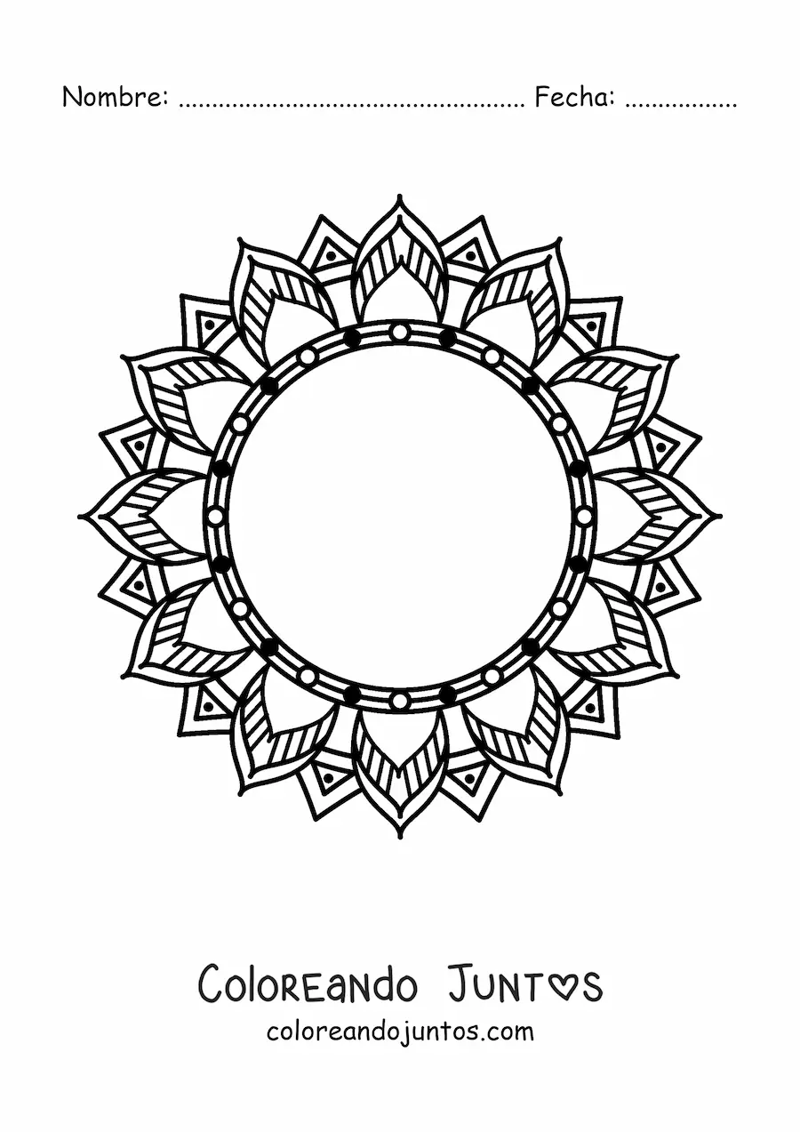 Imagen para colorear de mandala circular de flor