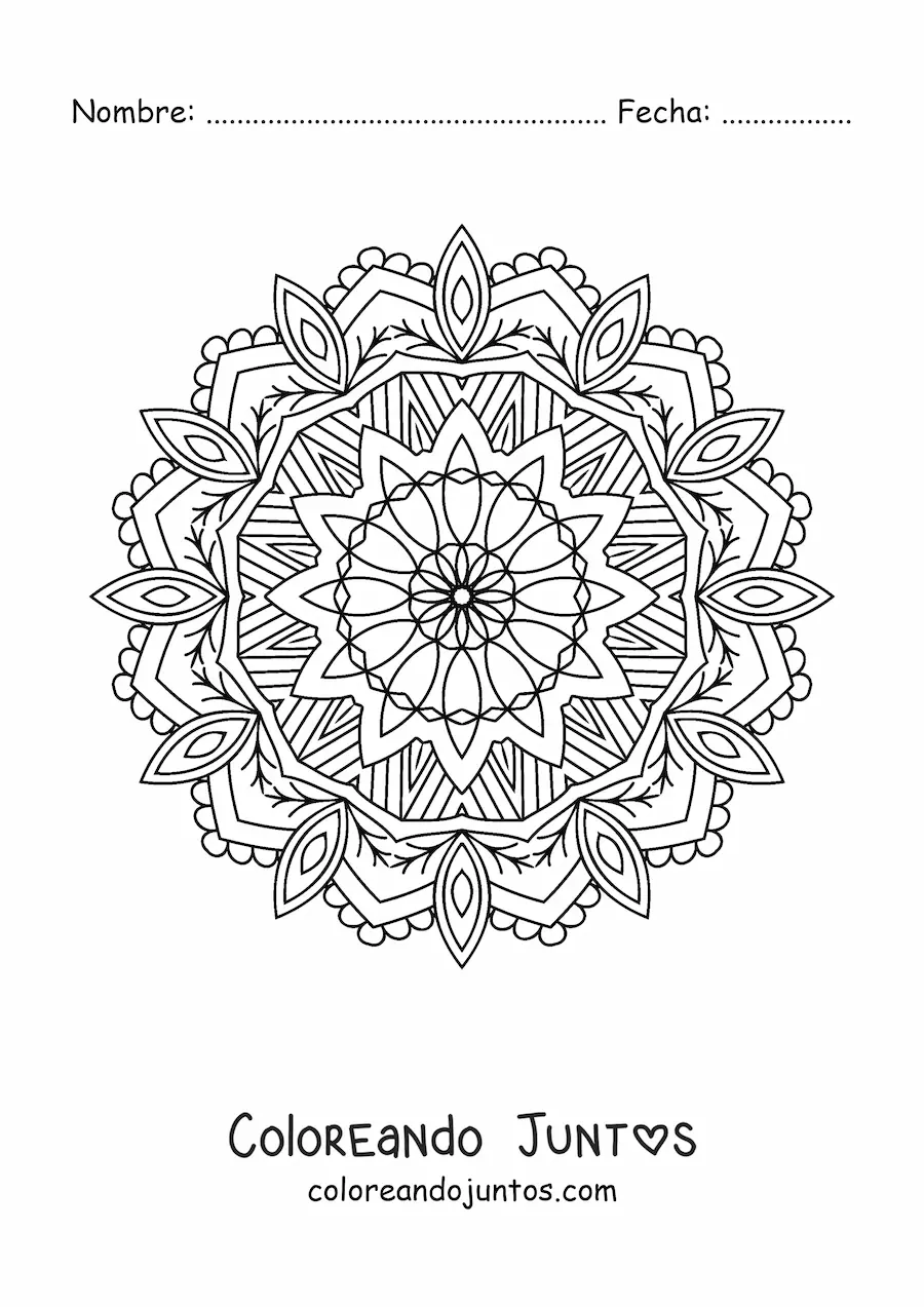 Imagen para colorear de mandala hindú estilo Zentangle