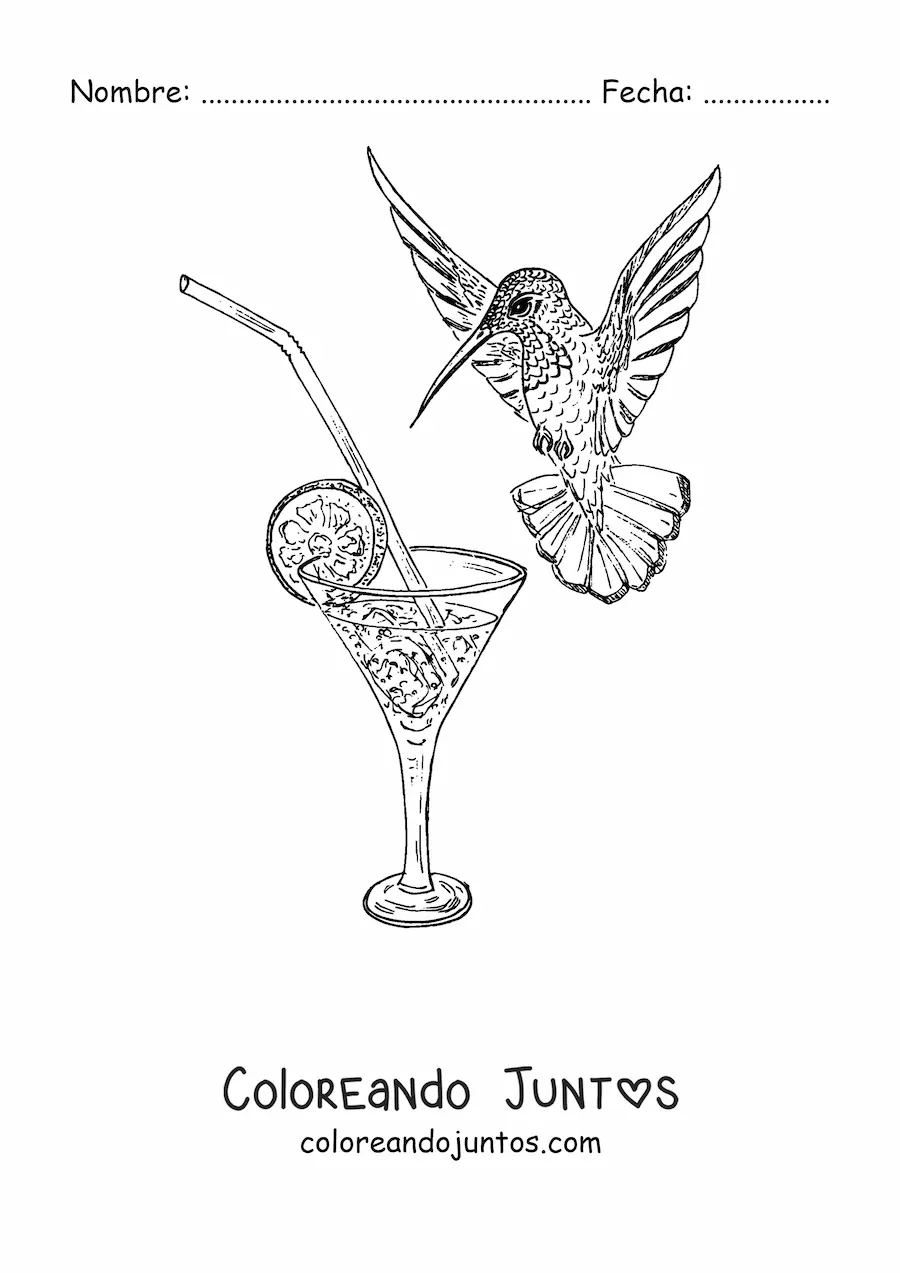 Imagen para colorear de un colibrí bebiendo de una copa con una rodaja de limón