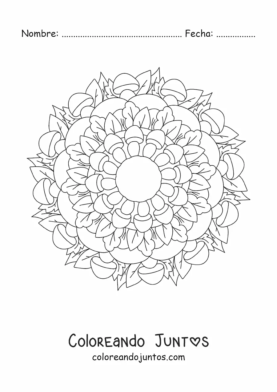 Imagen para colorear de mandala de flores y hojas