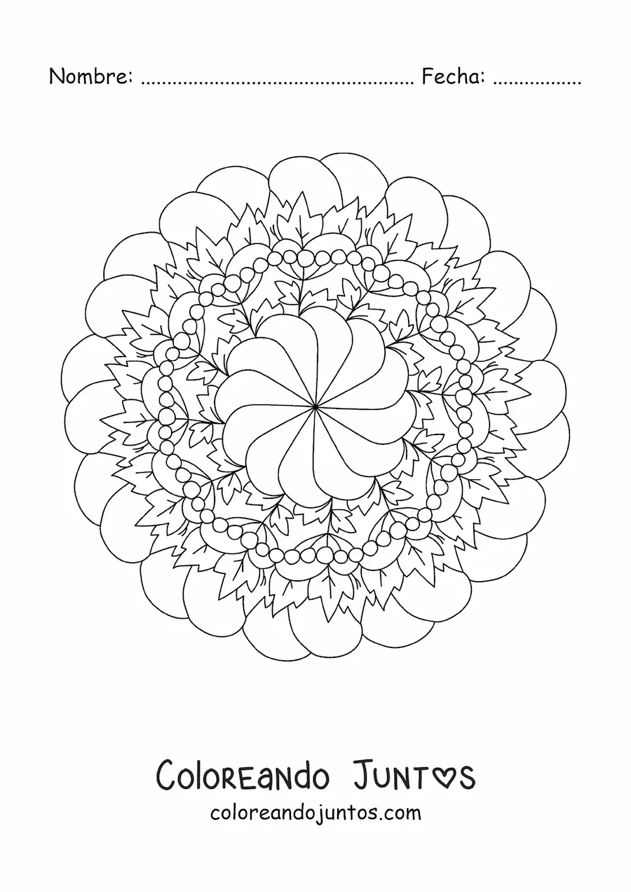 Imagen para colorear de mandala de flores y hojas