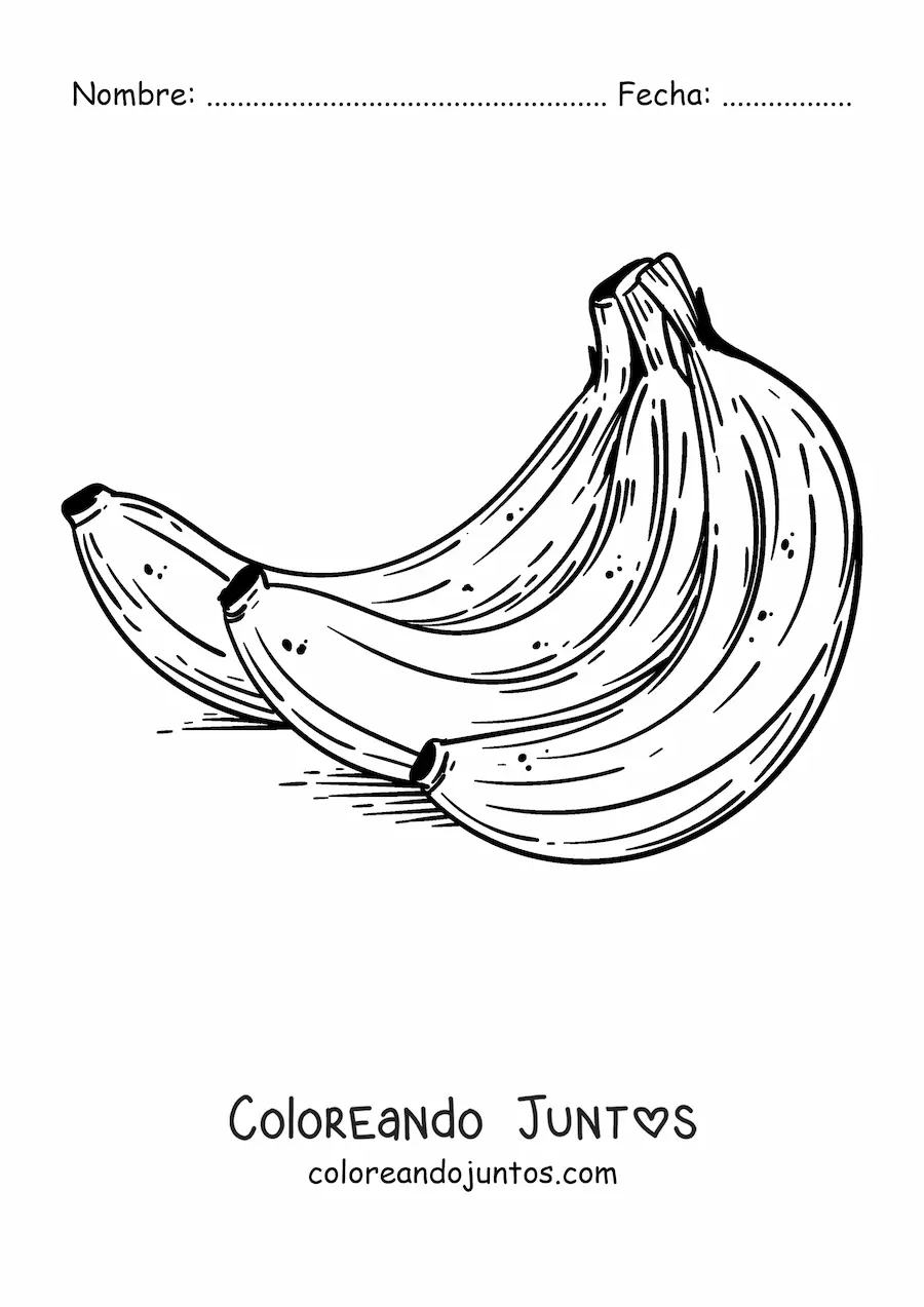 Imagen para colorear de un racimo de bananas realista