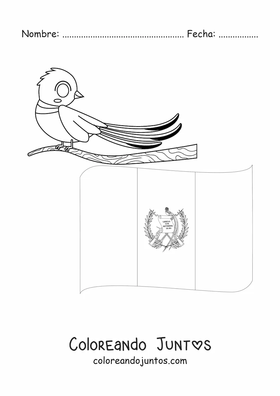 Imagen para colorear de la bandera de Guatemala con el ave nacional