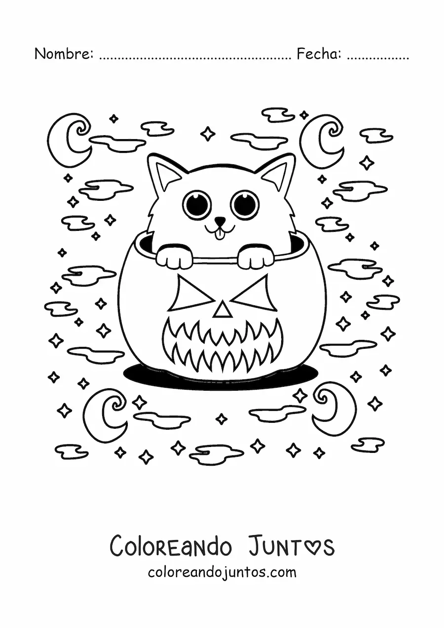Imagen para colorear de gato kawaii en calabaza de Halloween