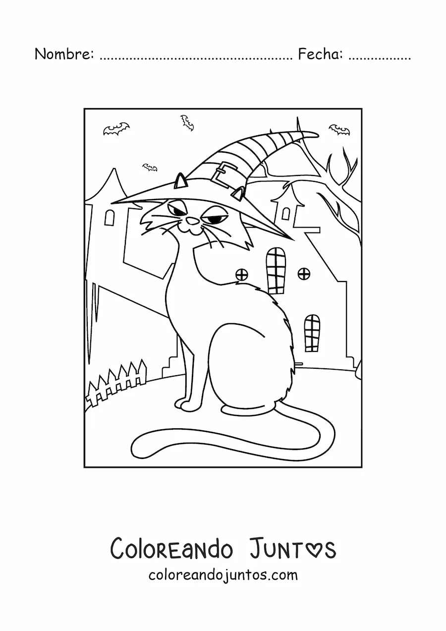 Imagen para colorear de gato animado con sombrero de bruja en casa encantada