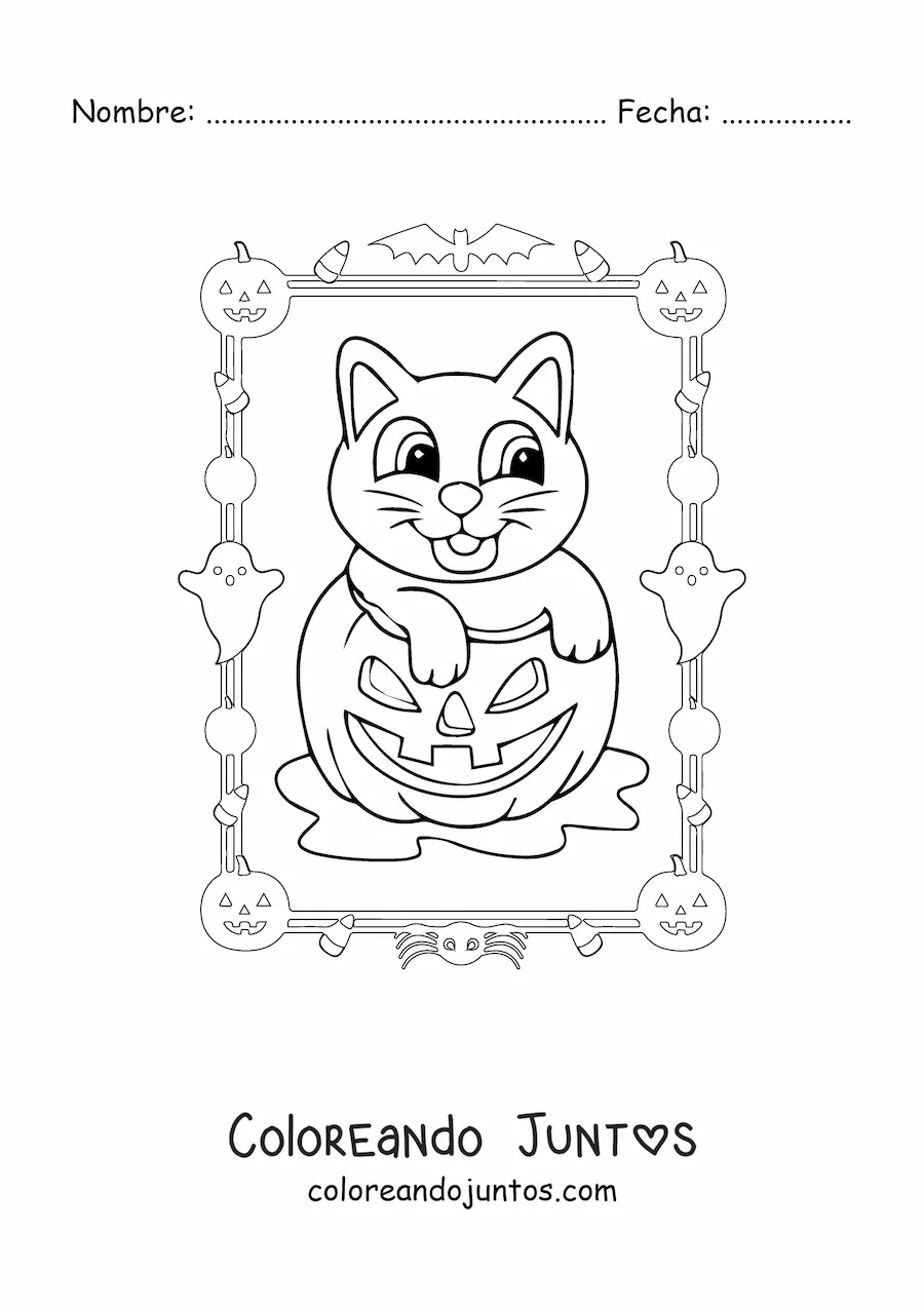 Imagen para colorear de caricatura de gato tierno en calabaza de Halloween
