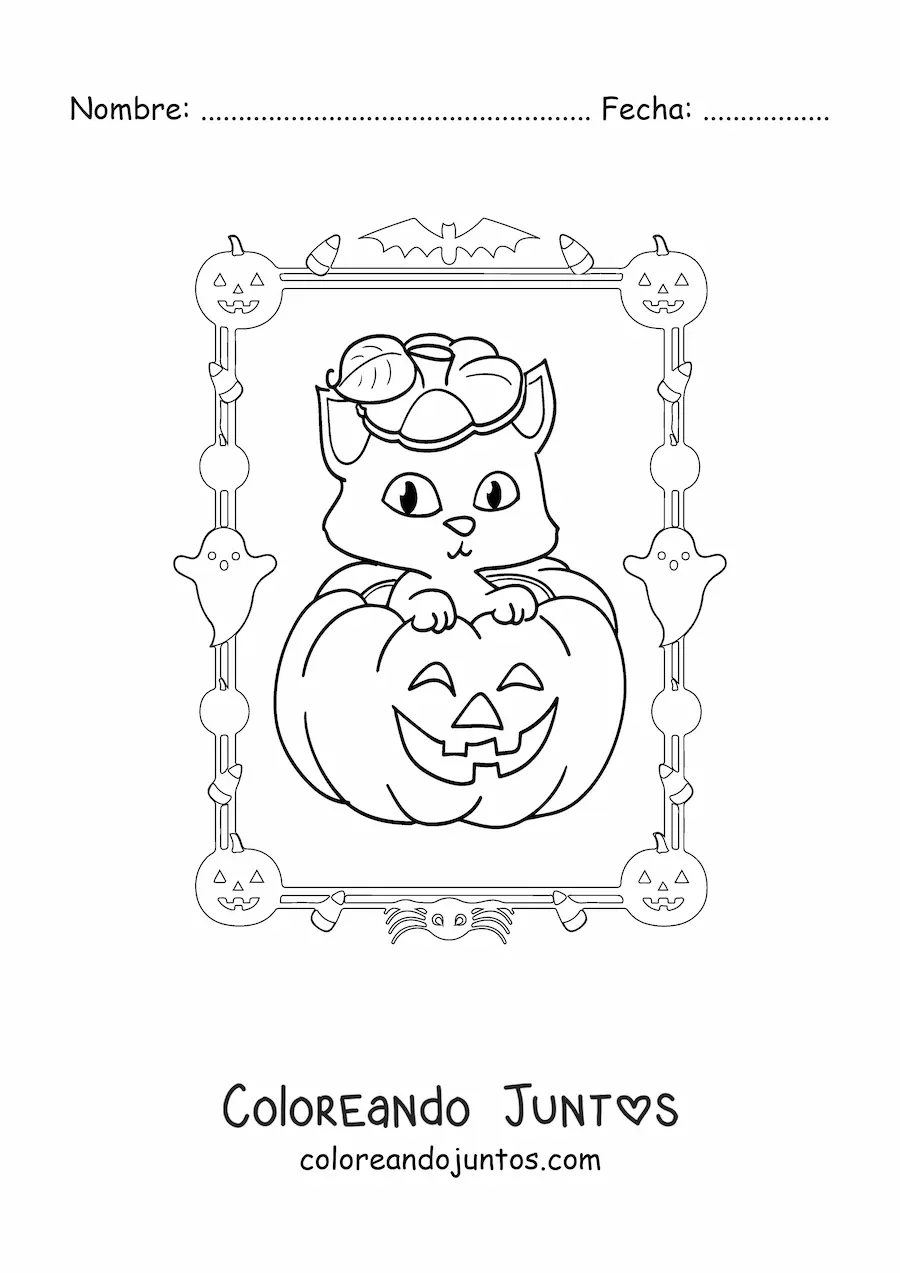 Imagen para colorear de calabaza de Halloween con gatito