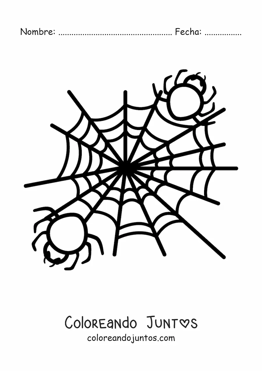 Imagen para colorear de arañas de Halloween en su telaraña