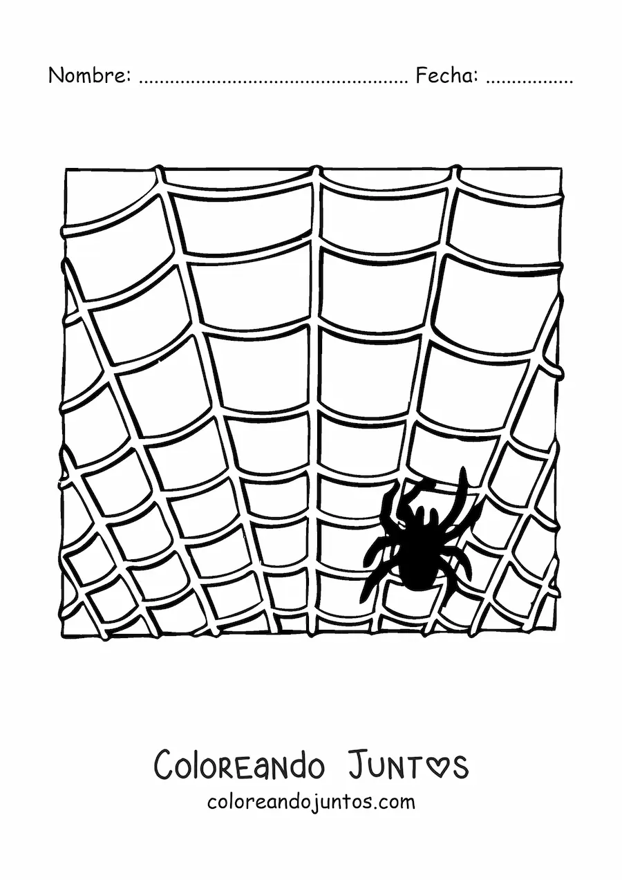 Imagen para colorear de araña de Halloween en su telaraña