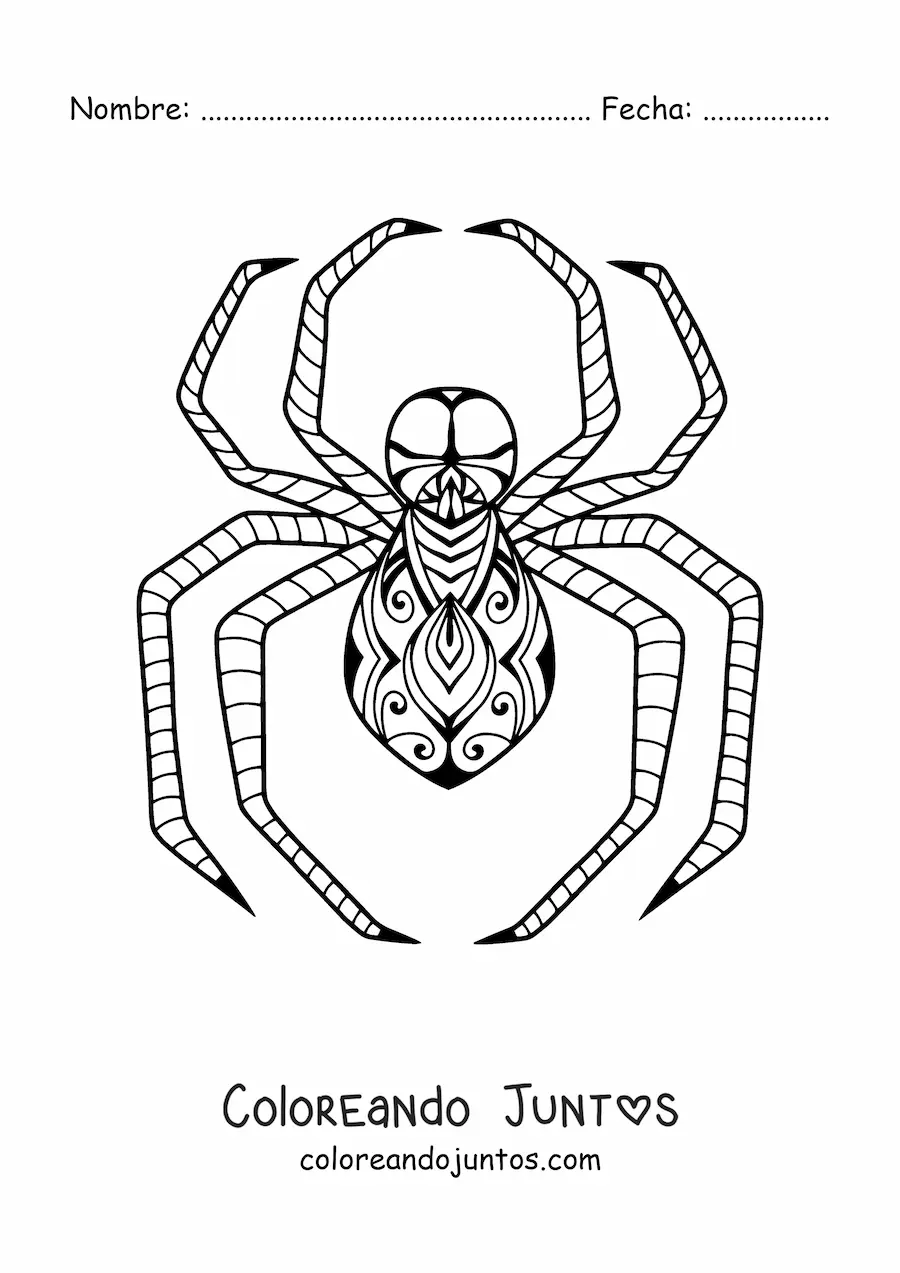 Imagen para colorear de araña de Halloween estilo zentangle