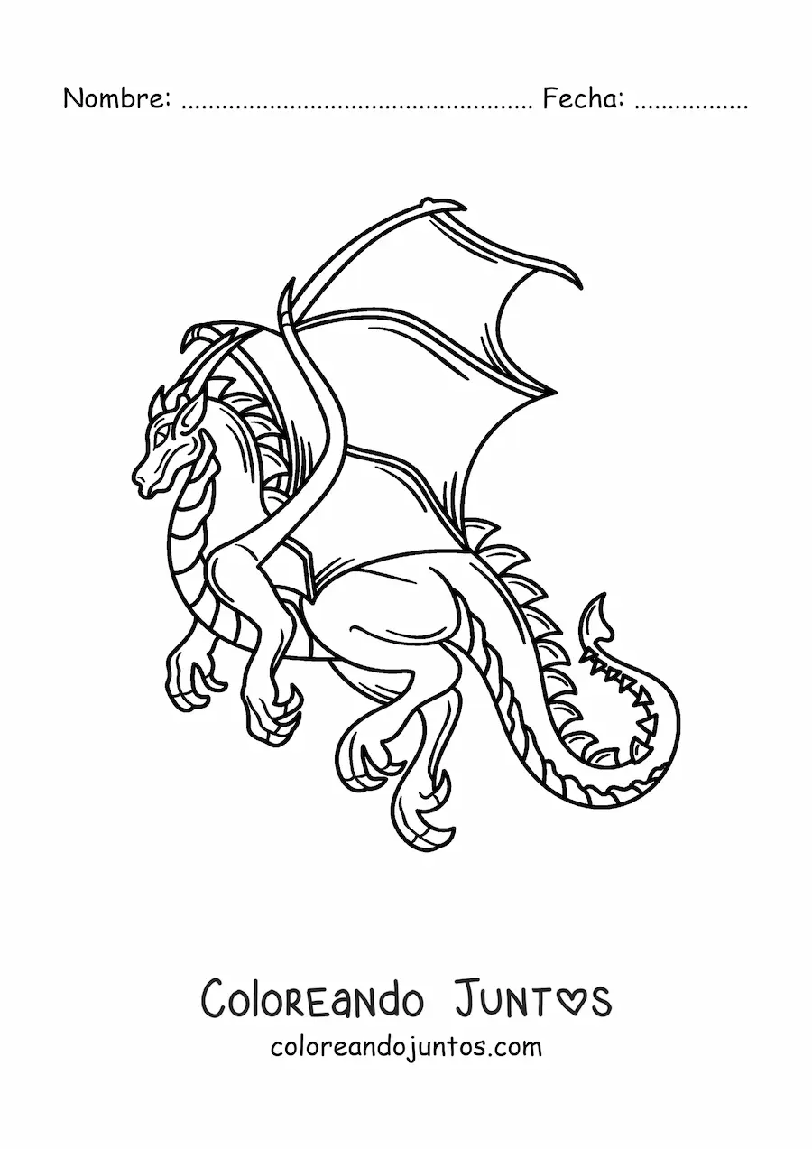 Imagen para colorear de dragón realista volando sin fondo