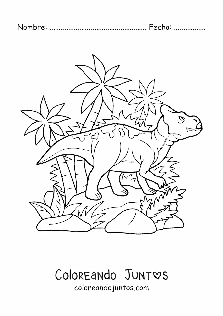Imagen para colorear de leptoceratops herbívoro animado