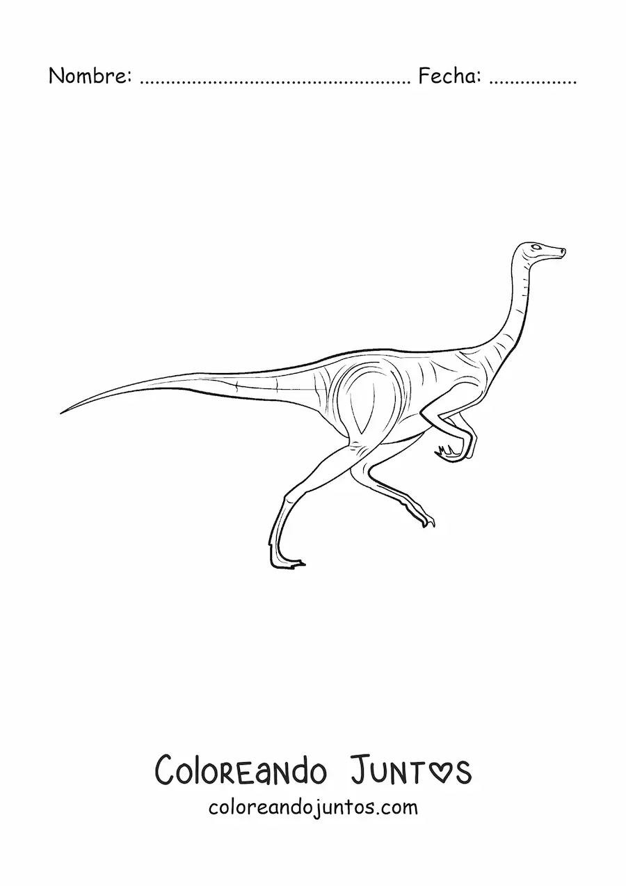 Imagen para colorear de dinosaurio herbívoro corriendo