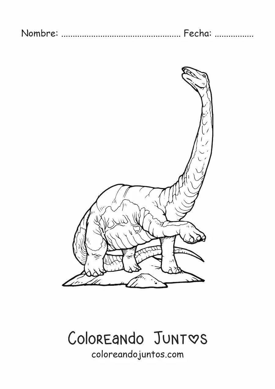 Imagen para colorear de dinosaurio de cuello largo y cola larga realista