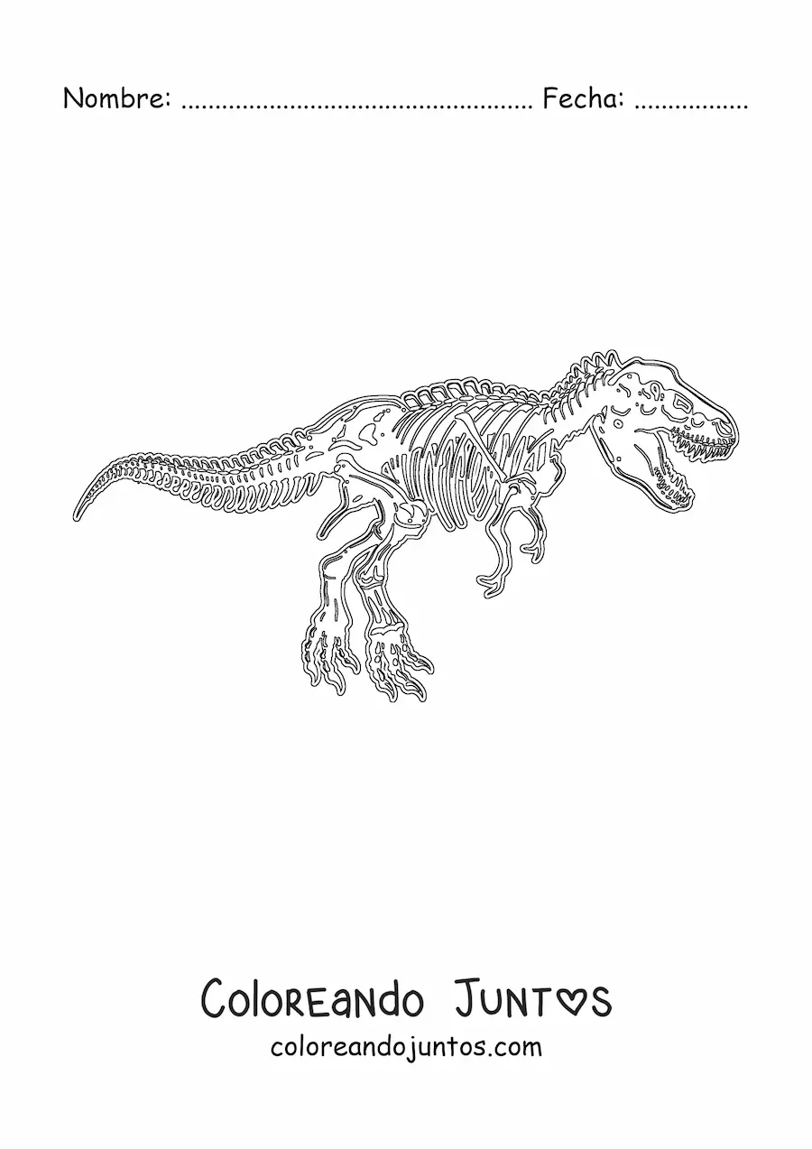 Imagen para colorear de esqueleto de un tiranosaurio rex