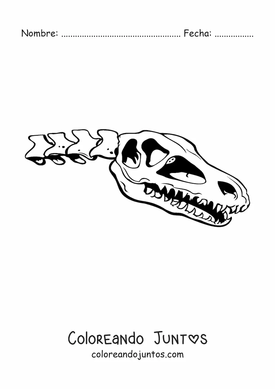Imagen para colorear de cráneo de un dinosaurio